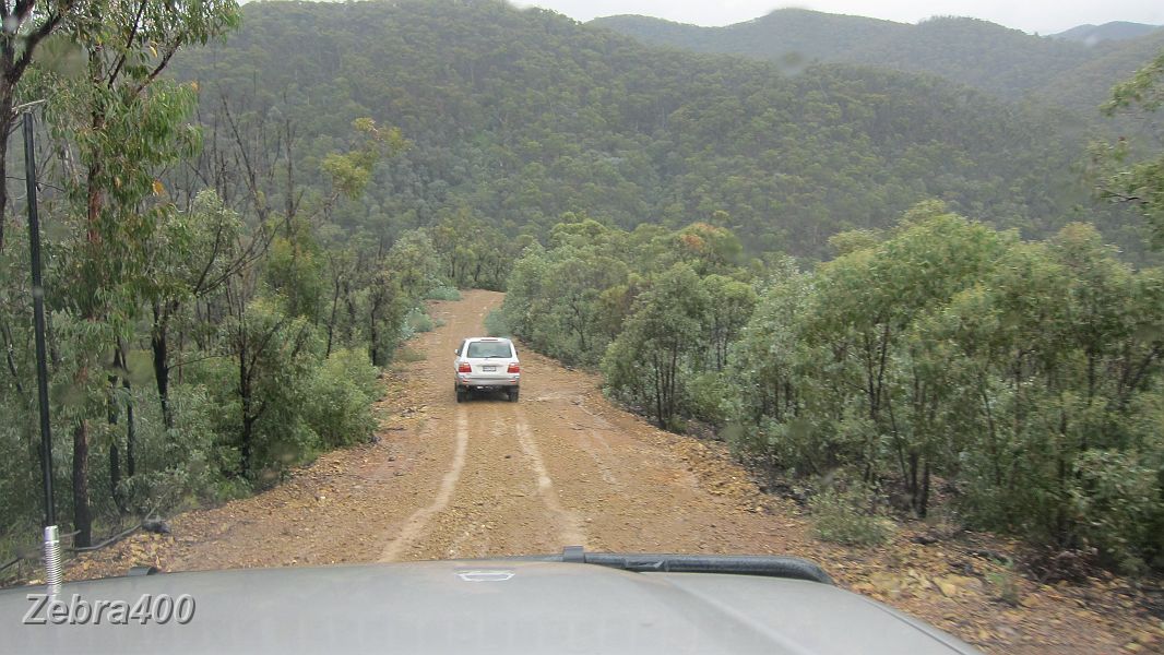 07-Tezza enjoys the views from Hickeys Creek Track.JPG